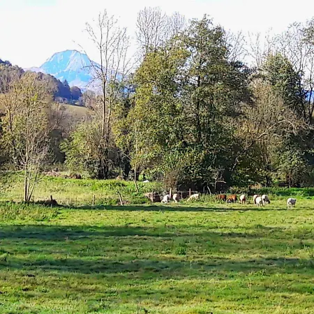 Domaine Lou Castet Dom wakacyjny Tuzaguet