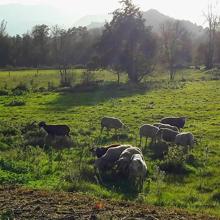 Domaine Lou Castet Tuzaguet