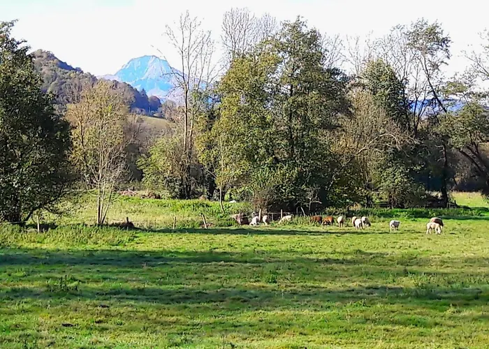 Domaine Lou Castet Ferienhaus Tuzaguet