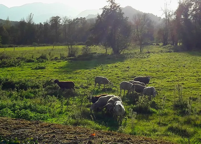Domaine Lou Castet Tuzaguet