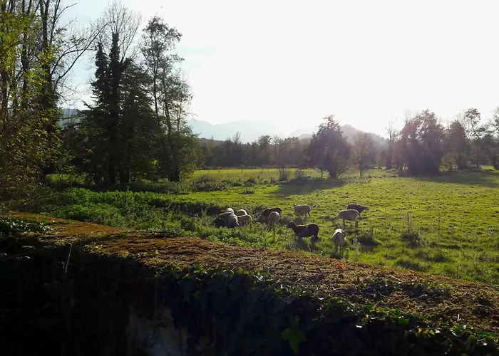 Domaine Lou Castet Ferienhaus